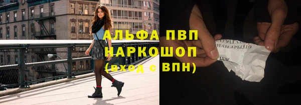 индика Верея