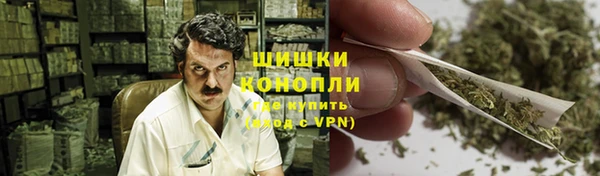 шишки Верхний Тагил