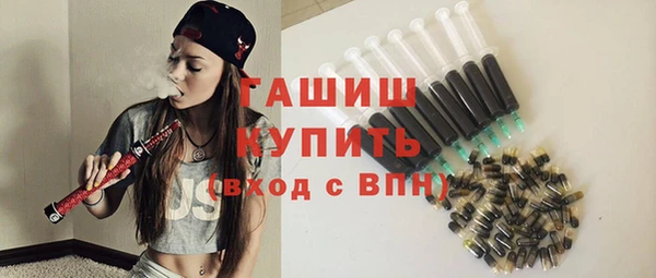 индика Верея