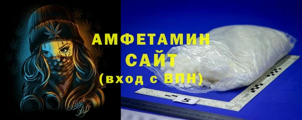 индика Верея