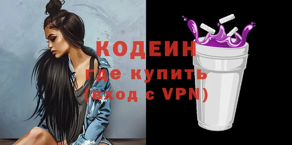 индика Верея