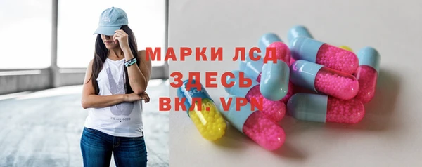 индика Верея