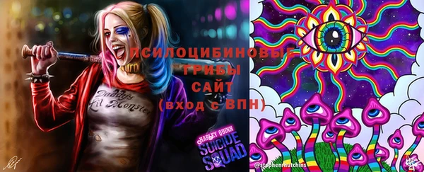 индика Верея