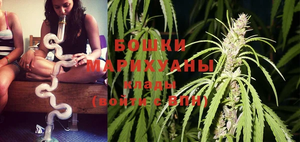 шишки Верхний Тагил
