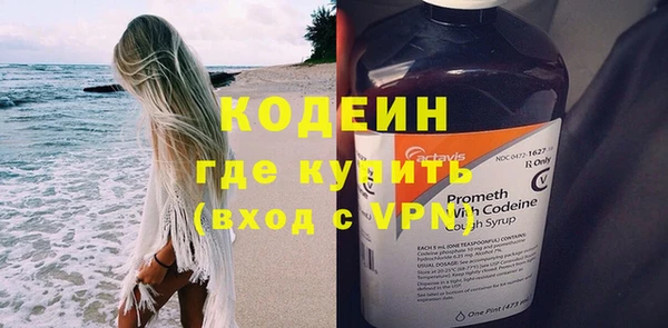 шишки Верхний Тагил