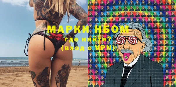 индика Верея
