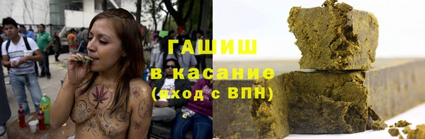 индика Верея