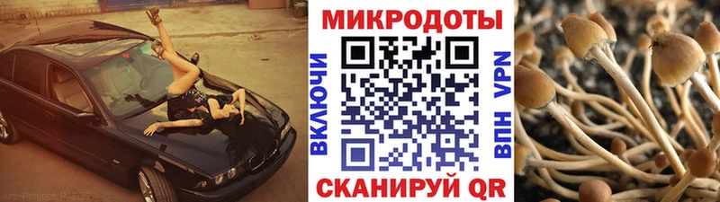 Псилоцибиновые грибы мухоморы  Новочеркасск 